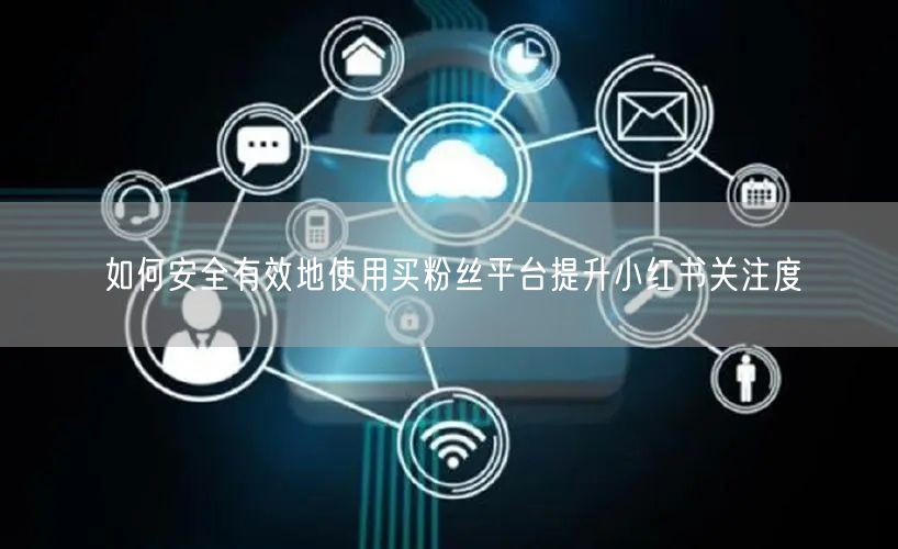 如何安全有效地使用买粉丝平台提升小红书关注度