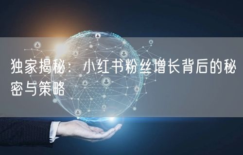 独家揭秘：小红书粉丝增长背后的秘密与策略