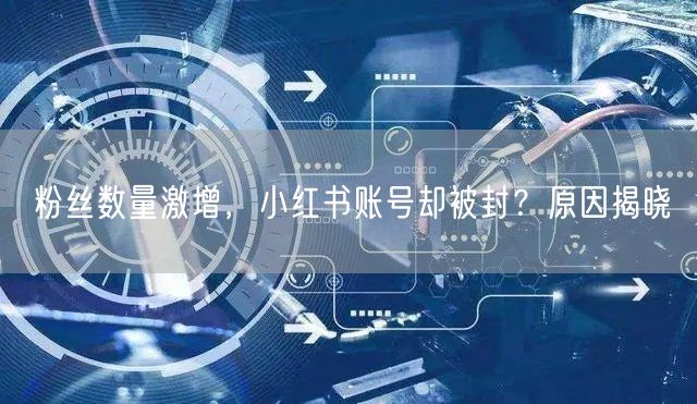 粉丝数量激增，小红书账号却被封？原因揭晓