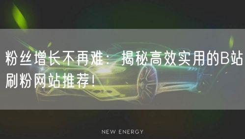 粉丝增长不再难：揭秘高效实用的B站刷粉网站推荐！