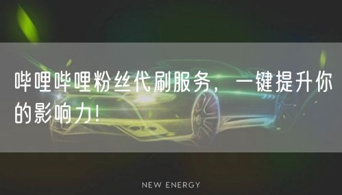哔哩哔哩粉丝代刷服务，一键提升你的影响力！