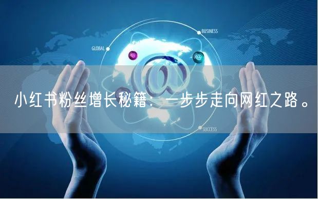 小红书粉丝增长秘籍：一步步走向网红之路。
