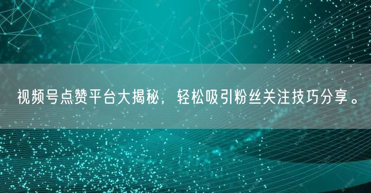 视频号点赞平台大揭秘，轻松吸引粉丝关注技巧分享。
