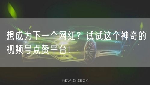 想成为下一个网红？试试这个神奇的视频号点赞平台！